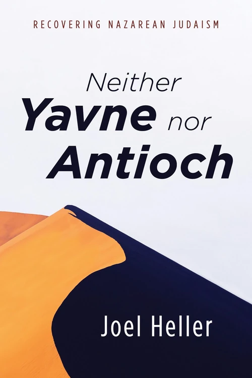 Cover of Neither Yavne nor Antioch