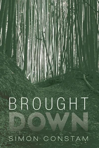 Cover of Brought Down