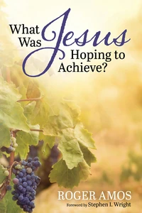 Cover of What Was Jesus Hoping to Achieve?