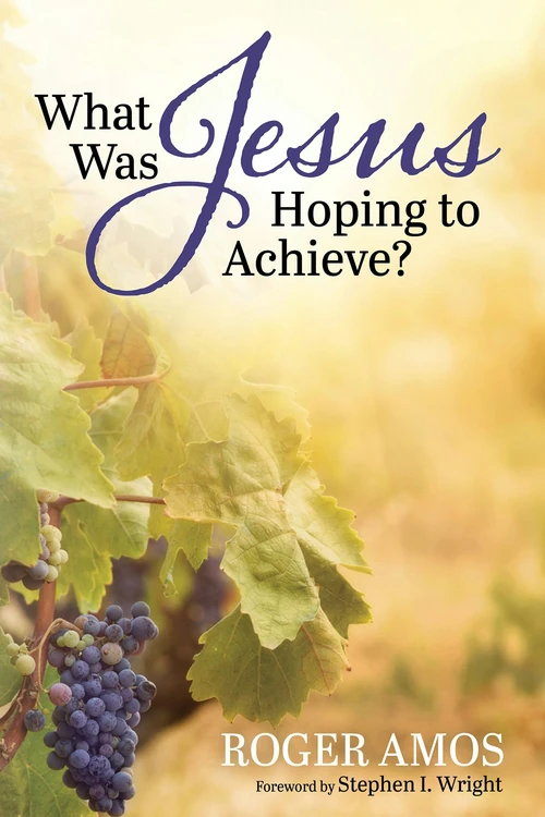 Cover of What Was Jesus Hoping to Achieve?