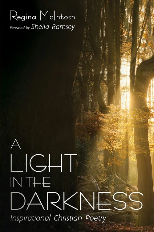 Cover of A Light in the Darkness