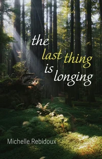 Cover of The Last Thing Is Longing