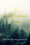Cover of A Wilderness Zone