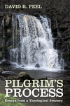 Cover of Pilgrim’s Process