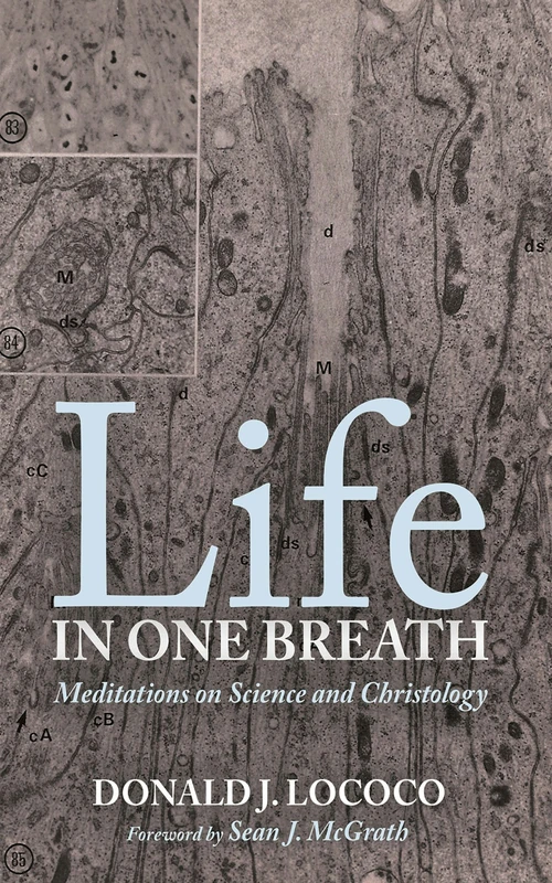 Cover of Life in One Breath
