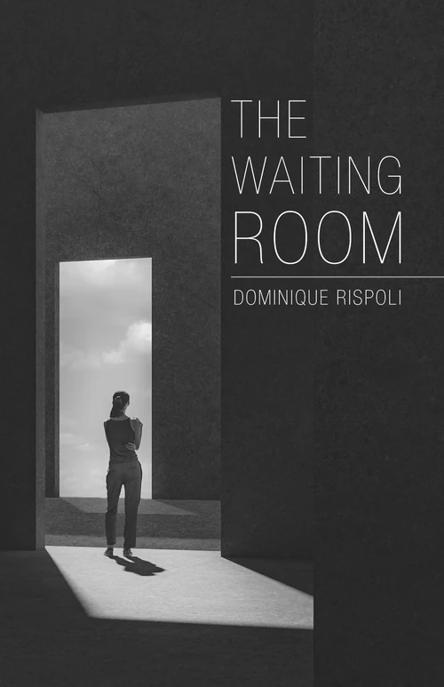 Cover of The Waiting Room