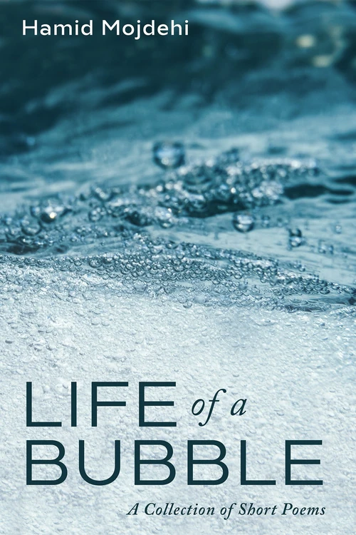 Cover of Life of a Bubble
