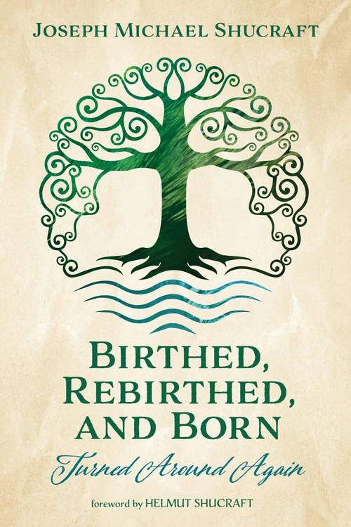 Cover of Birthed, Rebirthed, and Born: Turned Around Again