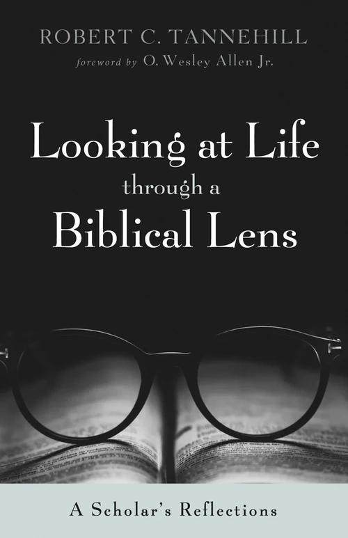 Cover of Looking at Life through a Biblical Lens