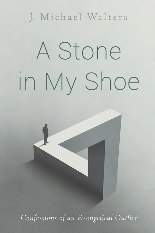 Cover of A Stone in My Shoe