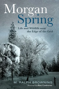 Cover of Morgan Spring