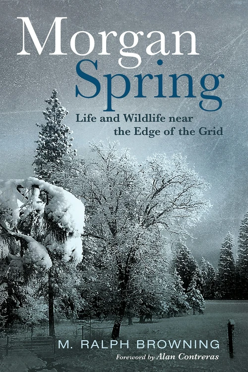 Cover of Morgan Spring