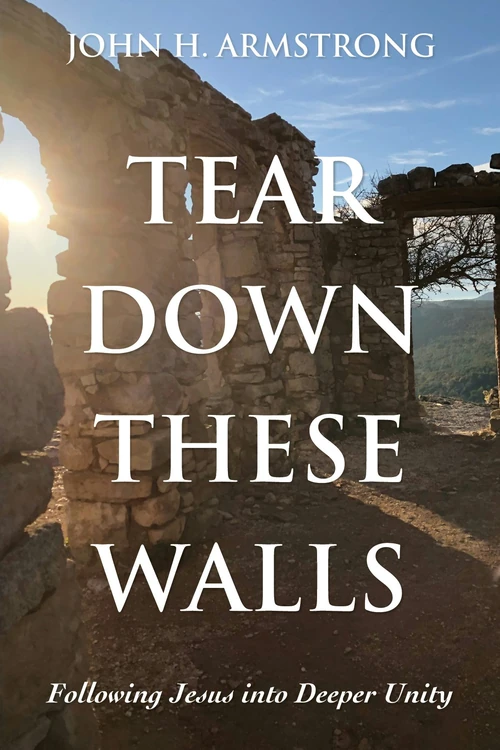 Cover of Tear Down These Walls