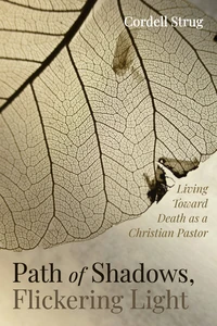Cover of Path of Shadows, Flickering Light