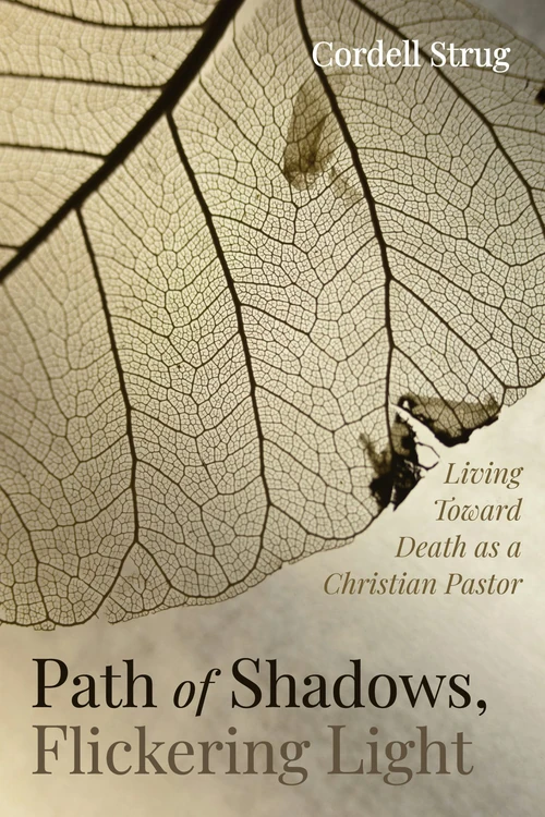 Cover of Path of Shadows, Flickering Light