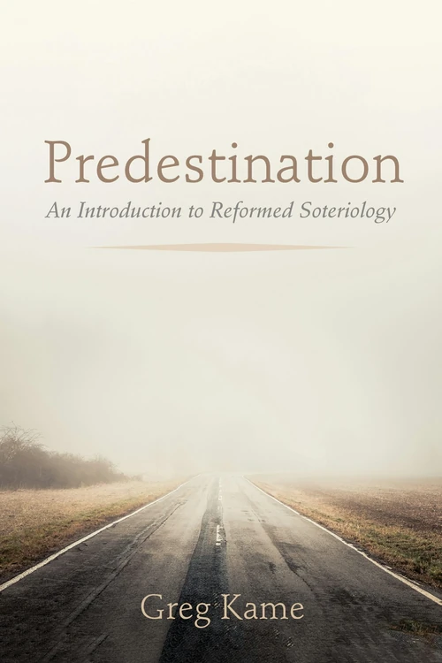 Cover of Predestination