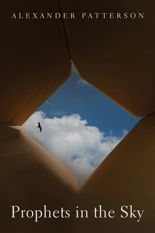 Cover of Prophets in the Sky