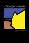 Cover of A Beautiful Catastrophe