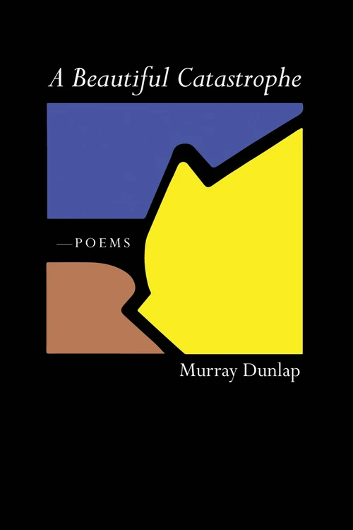 Cover of A Beautiful Catastrophe