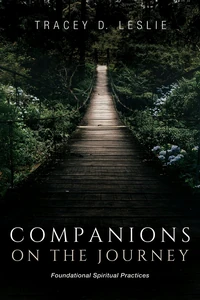 Cover of Companions on the Journey