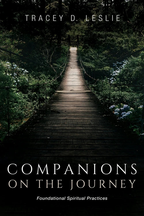 Cover of Companions on the Journey