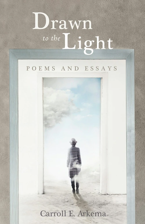 Cover of Drawn to the Light