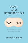 Cover of Death until Resurrection