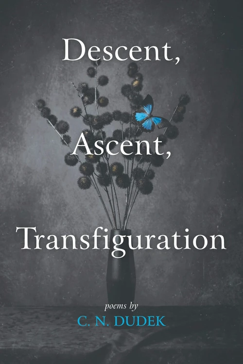 Cover of Descent, Ascent, Transfiguration