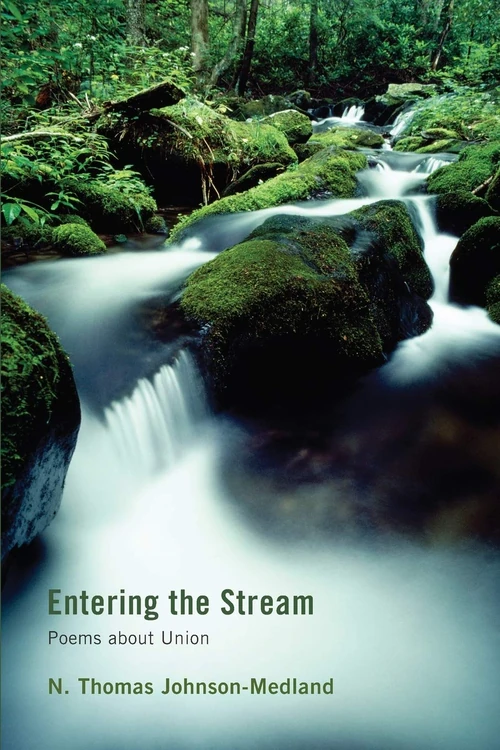 Cover of Entering the Stream
