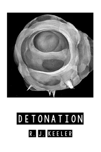Cover of Detonation