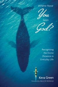 Cover of Where Have You Seen God?