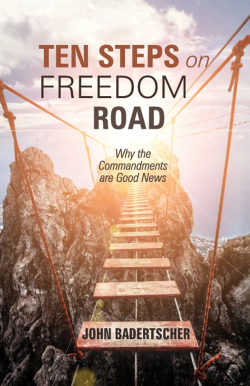Cover of Ten Steps on Freedom Road