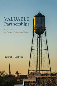 Cover of Valuable Partnerships
