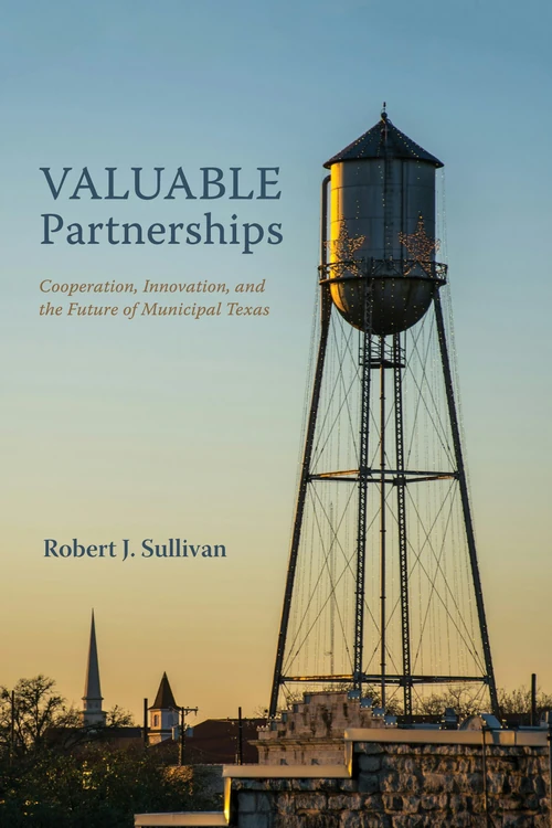 Cover of Valuable Partnerships