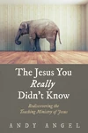 Cover of The Jesus You Really Didn’t Know