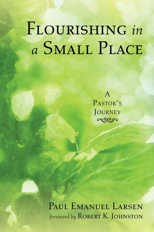 Cover of Flourishing in a Small Place