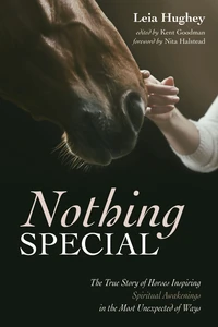 Cover of Nothing Special