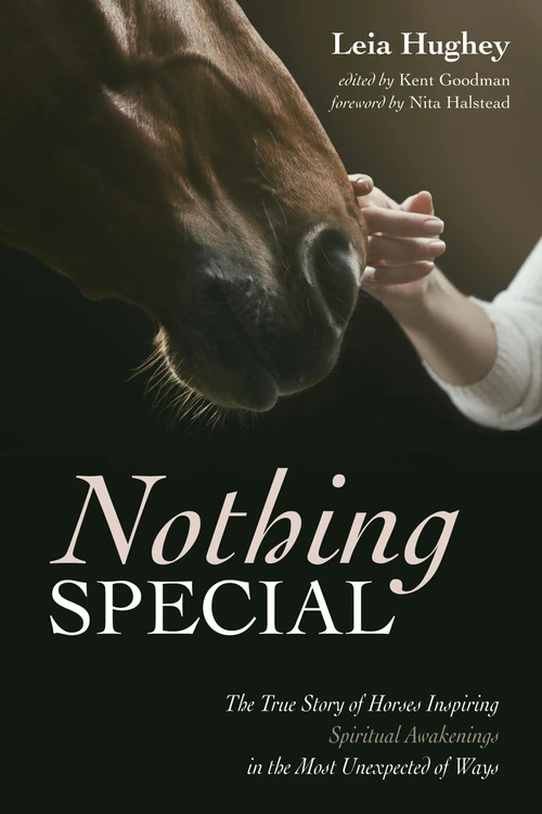 Cover of Nothing Special
