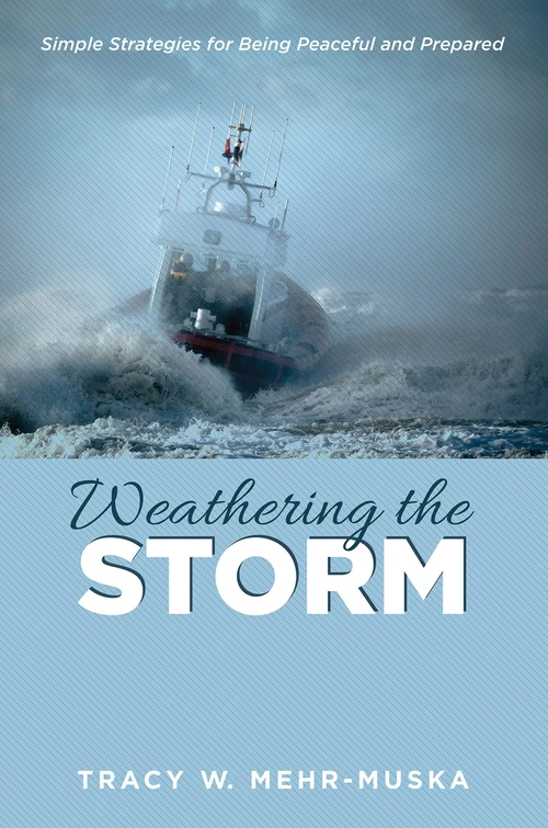 Cover of Weathering the Storm