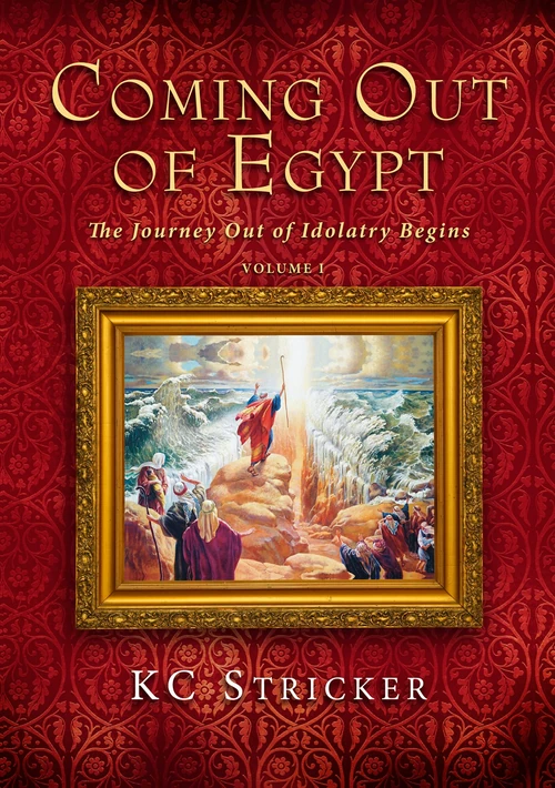 Cover of Coming Out of Egypt