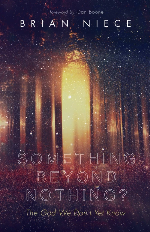 Cover of Something Beyond Nothing?