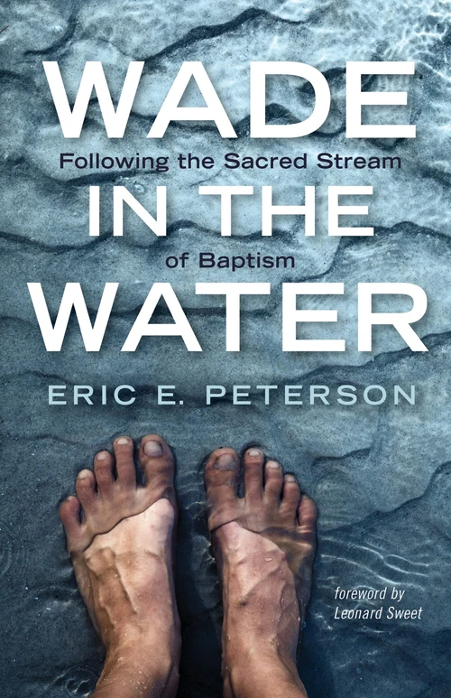 Cover of Wade in the Water