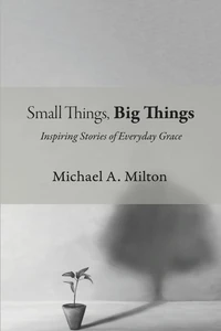 Cover of Small Things, Big Things