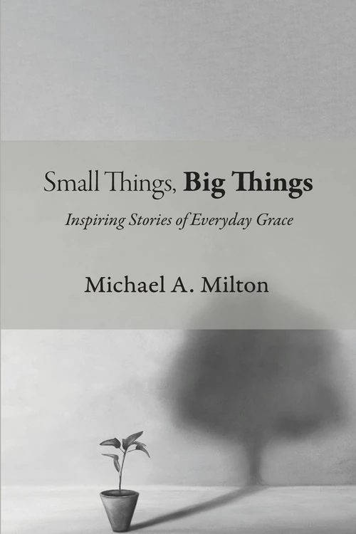 Cover of Small Things, Big Things