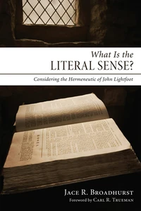Cover of What Is the Literal Sense?