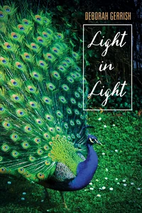 Cover of Light in Light