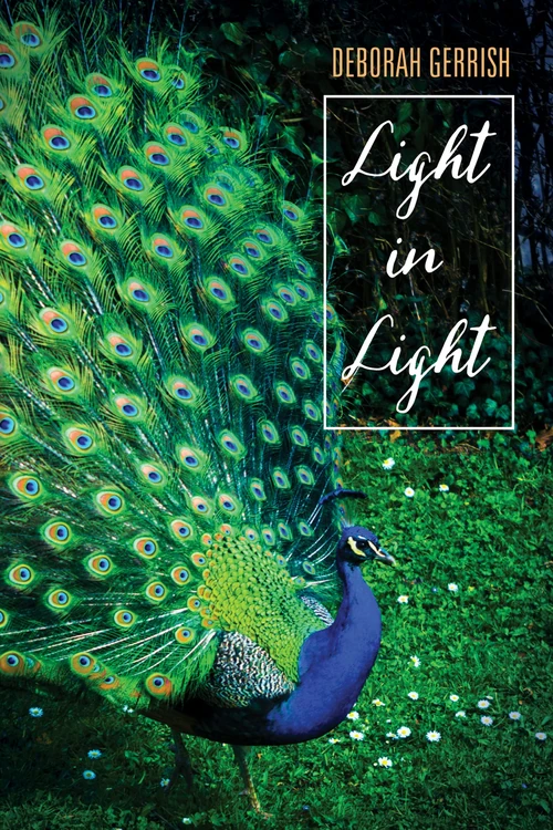 Cover of Light in Light