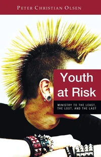 Cover of Youth at Risk