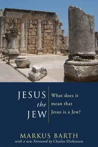 Cover of Jesus the Jew