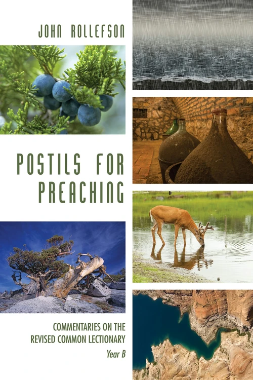 Cover of Postils for Preaching